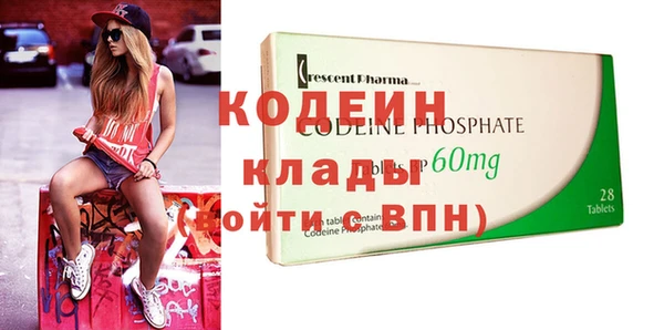 хмурый Белокуриха