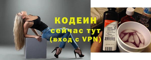 хмурый Белокуриха