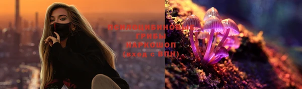 хмурый Белокуриха