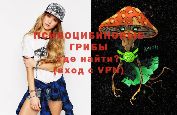 эйфоретик Баксан