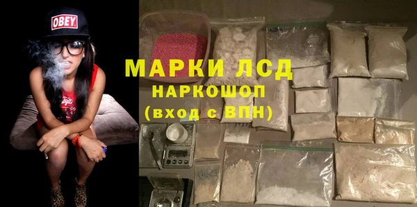 хмурый Белокуриха