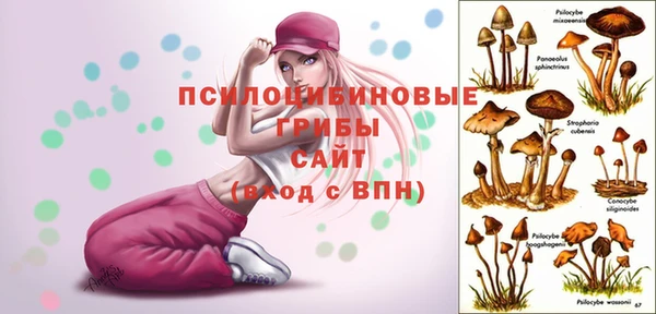 эйфоретик Баксан